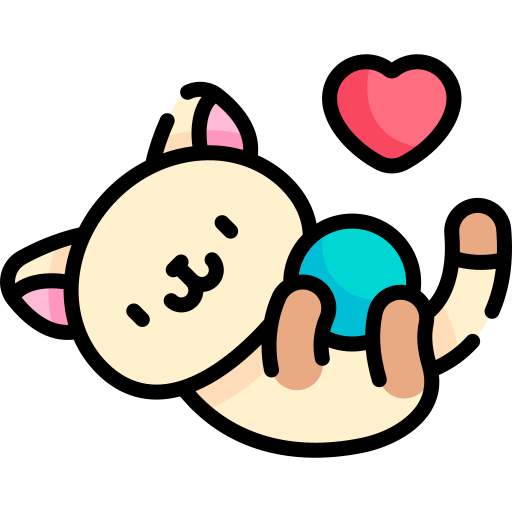 Gato